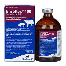 Enroflox 100 for Beef Cattle, Non-Lactating Dairy Cattle & Swine Norbrook Labs